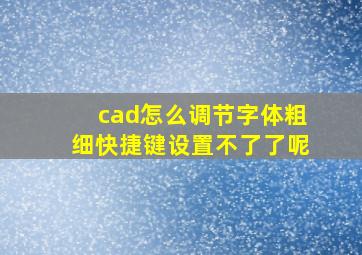 cad怎么调节字体粗细快捷键设置不了了呢