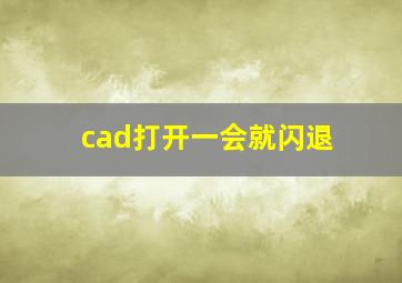 cad打开一会就闪退