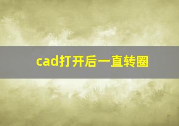 cad打开后一直转圈