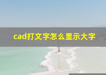 cad打文字怎么显示大字