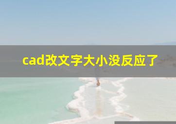 cad改文字大小没反应了