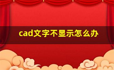 cad文字不显示怎么办