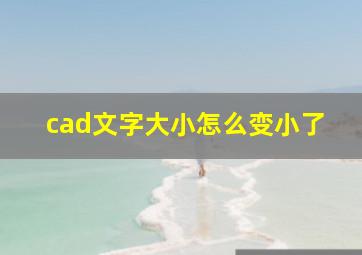 cad文字大小怎么变小了