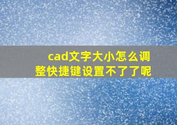 cad文字大小怎么调整快捷键设置不了了呢