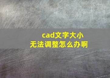 cad文字大小无法调整怎么办啊