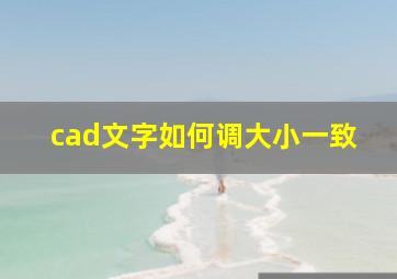 cad文字如何调大小一致