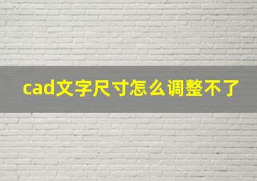 cad文字尺寸怎么调整不了