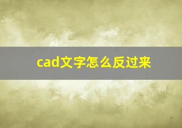 cad文字怎么反过来