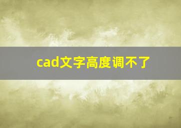 cad文字高度调不了