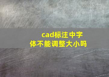 cad标注中字体不能调整大小吗