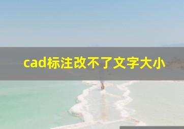 cad标注改不了文字大小