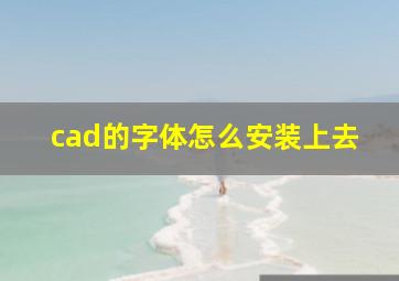 cad的字体怎么安装上去