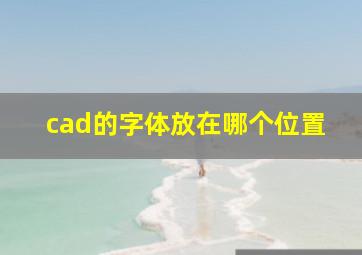 cad的字体放在哪个位置