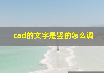 cad的文字是竖的怎么调