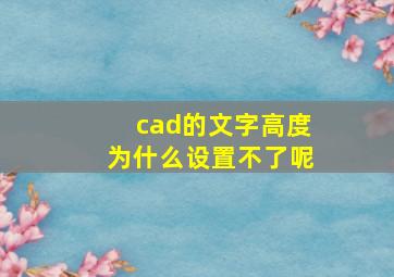 cad的文字高度为什么设置不了呢