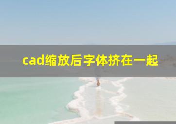 cad缩放后字体挤在一起