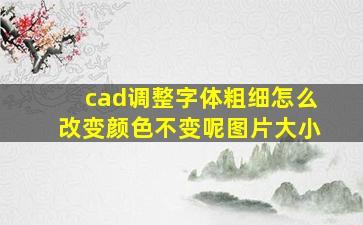 cad调整字体粗细怎么改变颜色不变呢图片大小