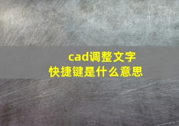 cad调整文字快捷键是什么意思