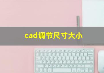 cad调节尺寸大小