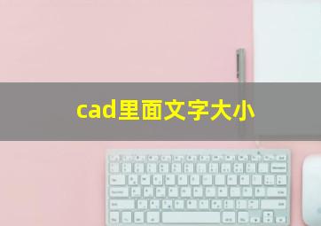 cad里面文字大小