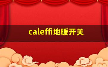 caleffi地暖开关