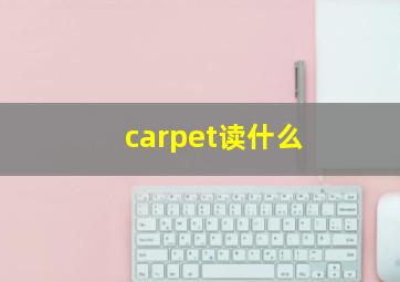 carpet读什么