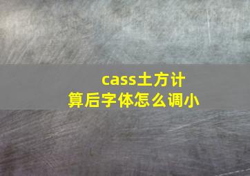 cass土方计算后字体怎么调小