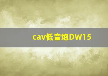 cav低音炮DW15