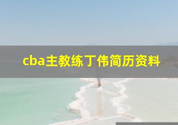 cba主教练丁伟简历资料