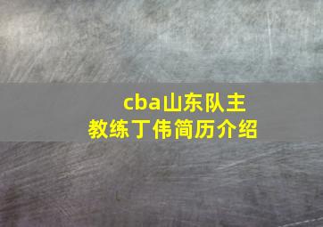 cba山东队主教练丁伟简历介绍