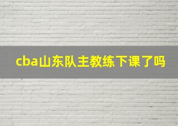 cba山东队主教练下课了吗