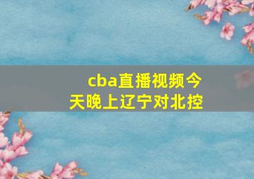 cba直播视频今天晚上辽宁对北控