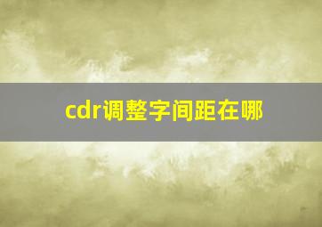 cdr调整字间距在哪