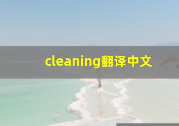 cleaning翻译中文