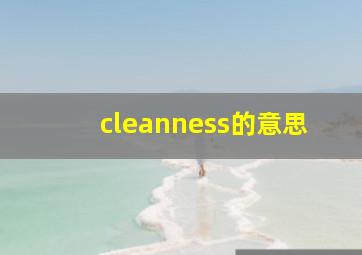 cleanness的意思