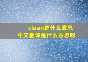 clean是什么意思中文翻译是什么意思呀