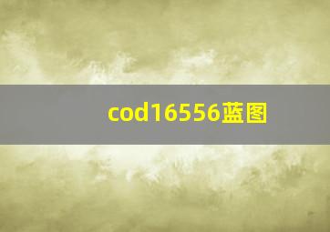 cod16556蓝图