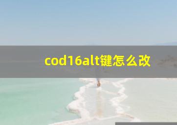 cod16alt键怎么改