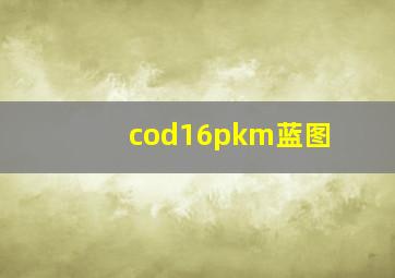 cod16pkm蓝图