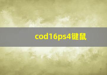 cod16ps4键鼠