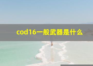 cod16一般武器是什么