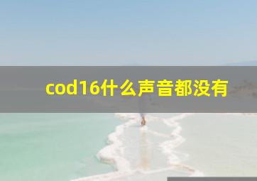 cod16什么声音都没有