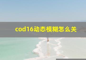 cod16动态模糊怎么关