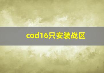 cod16只安装战区