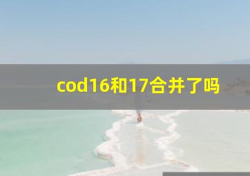 cod16和17合并了吗