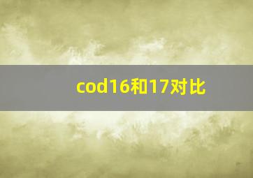 cod16和17对比