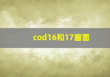 cod16和17画面