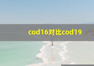 cod16对比cod19