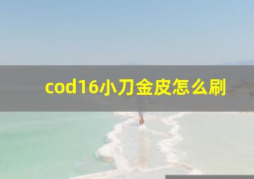 cod16小刀金皮怎么刷