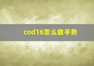 cod16怎么做手势